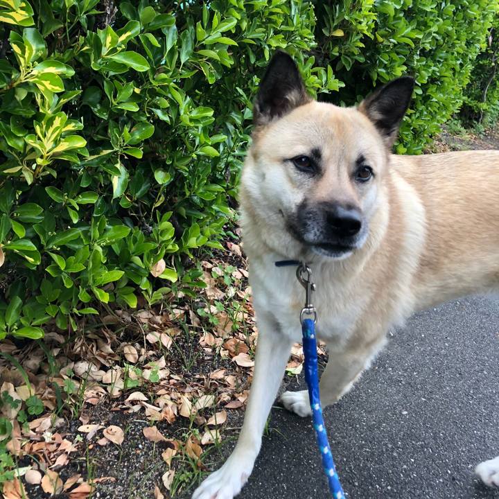 32712ccf 9ea0 471f b27c b8bc5b878a56 1557838162396