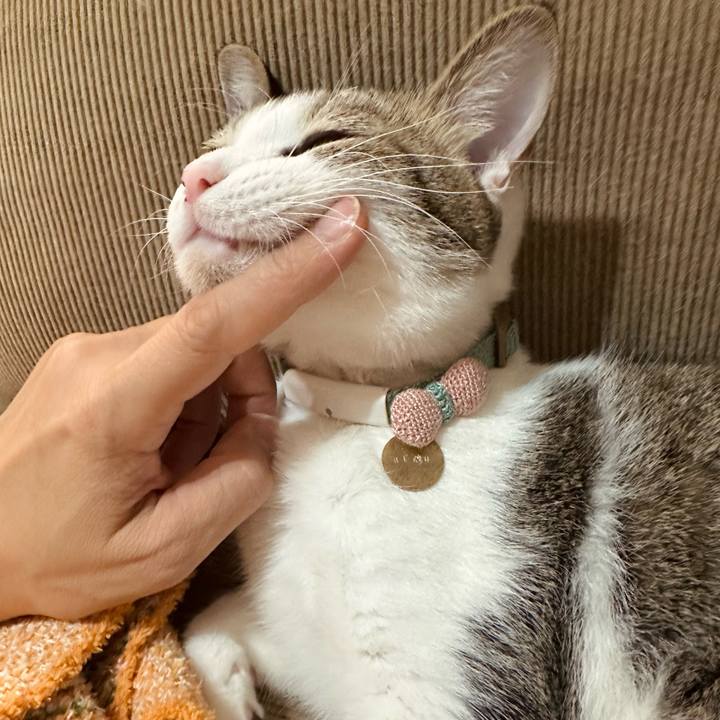 3271391d 6d78 4794 a04e 55ec800398d1 1768578310468