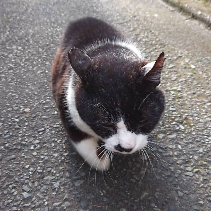 32717182 ffd8 4044 8031 c6994fcd5e76 1681254183772