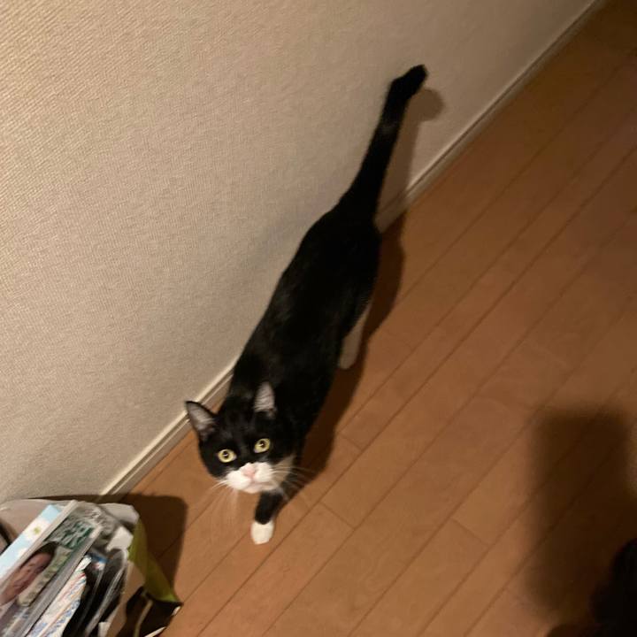 3271879d 4279 46a1 9ce7 0bed433f7e2d 1654306817484