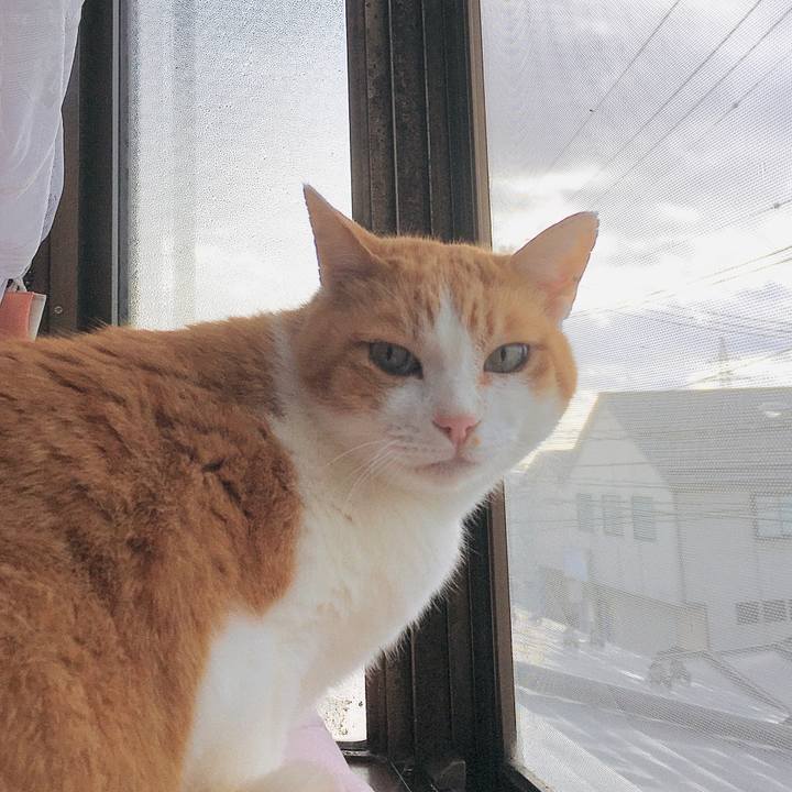 3271a603 6d65 4d81 b751 617605a4182d 1582169381488