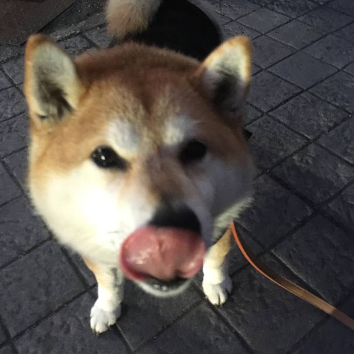 3271a8ec f646 4a9f ad62 3b9cd20de725 1580462279446