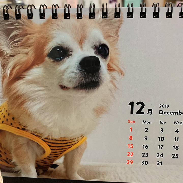 3271be74 6223 44d0 a711 a97ee97b3f8b 1575282805675