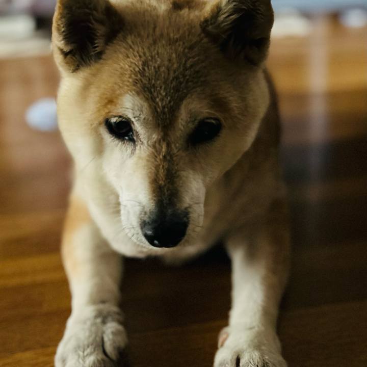 3271caaa b5e4 4a7b 952d 2a2d425ddd99 1750380272132