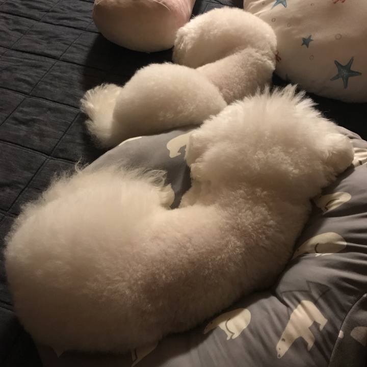 3271df22 b2a5 45d9 b6e6 0eb13aca55e5 1566819530870