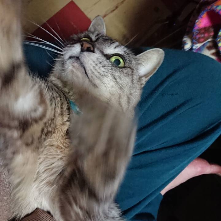 32720962 d77b 4608 a94d ab723bdb9f9d 1557829363320