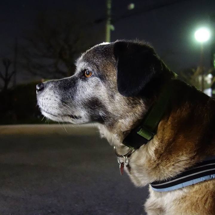 32720f57 8001 4bd7 801c ed7a6fd3b298 1521297405995