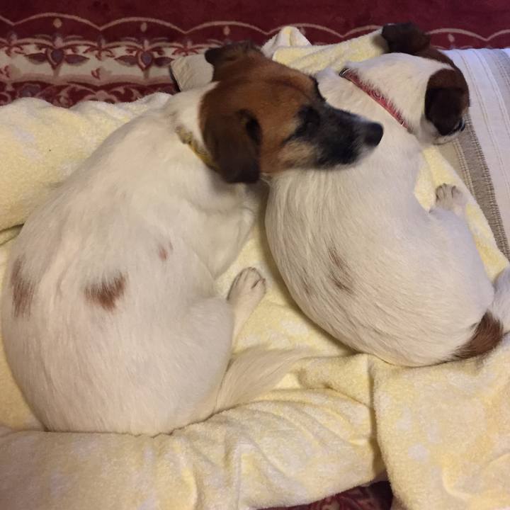 32720ffc 2afe 419c b041 2a1007cc0c26 1532252921336