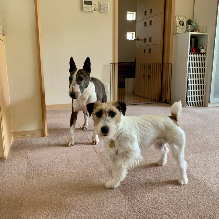 3272238c 8552 445d af1c 4e58e3f420df 1622105516784