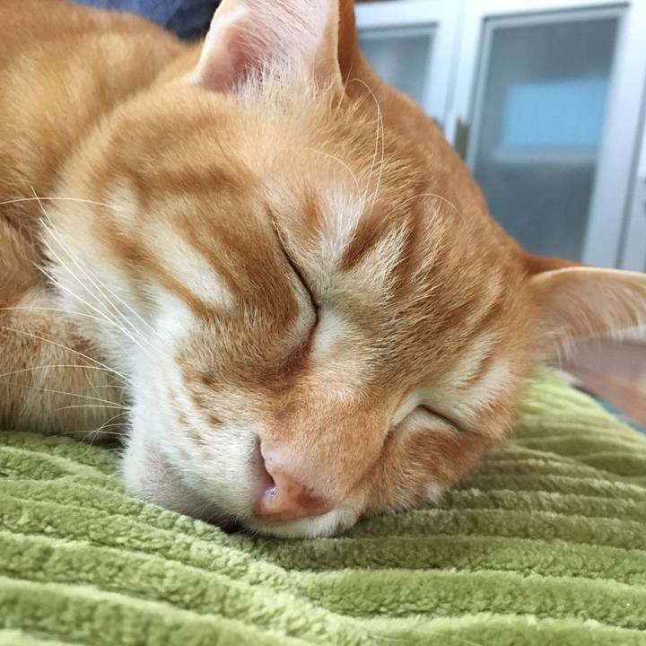 32725f05 52b4 4e73 a2e0 942fdb4d06e8 1551513582840