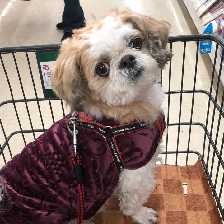 327298e2 b078 4264 aab1 40a491e392dc 1586902112170