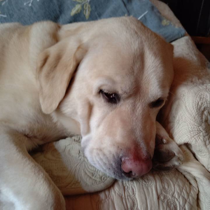 3272d95c c09d 4160 860c 936311f62df5 1665893719466