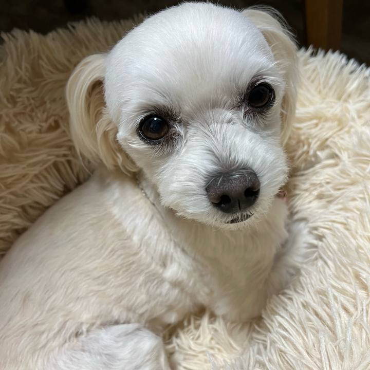 3272e15f a2ce 4aeb a958 e8c7cdf47ff1 1669810181135