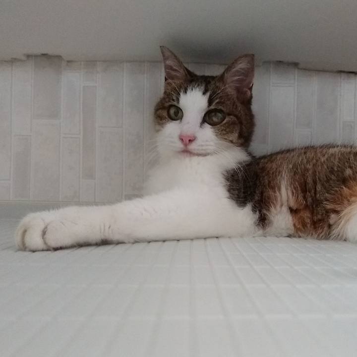 3272fb3c 85ef 452d 80c4 b8319ccd25ee 1564876155604