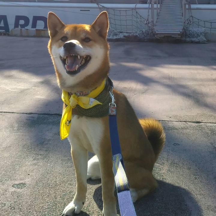 327314b1 2634 4464 835d 64da1f850531 1514103311928