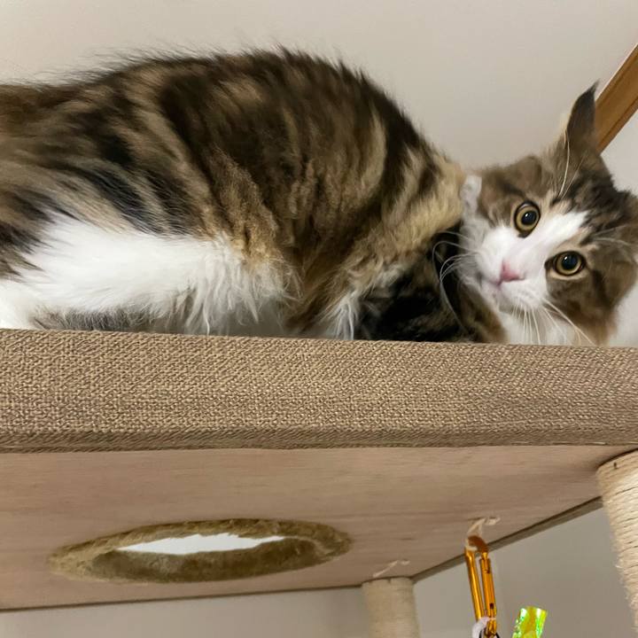 32731fd9 a199 44b8 b897 d63c69df30b8 1638911882808