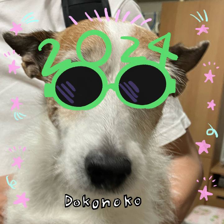 3273509d 1f90 4def 8504 22ebc4915ad6 1704323875865