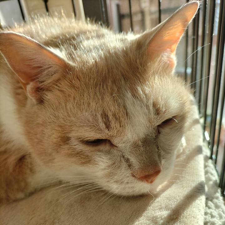 32735d0e d3e5 4298 87d0 4bb6e577de40 1636324533135