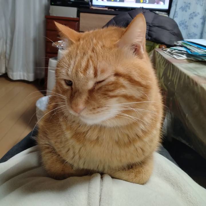 32739171 4fae 4453 aa80 0772279d28d0 1769159167897