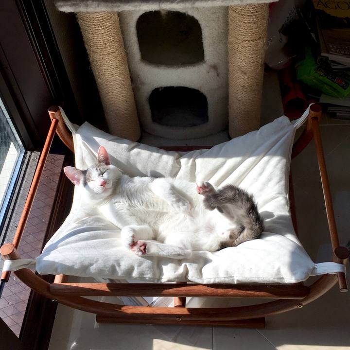 32739ae2 c5f2 406f 8354 3ad5424ec381 1516585735457