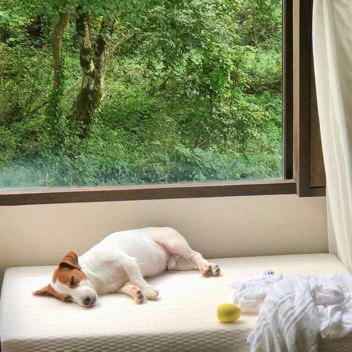 32739e20 566d 4dba 87b8 8b4abbc796d4 1663663213519