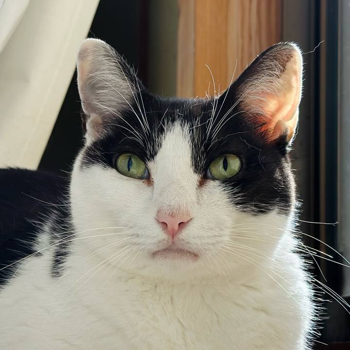 3273acd6 d98e 498e a5fd 6b0f356bab3a 1692663950866