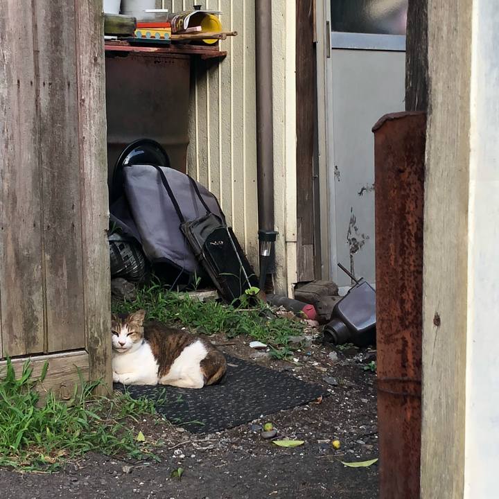 3273bec4 ab8b 4bb0 a2cc aff1927320cc 1531430030261