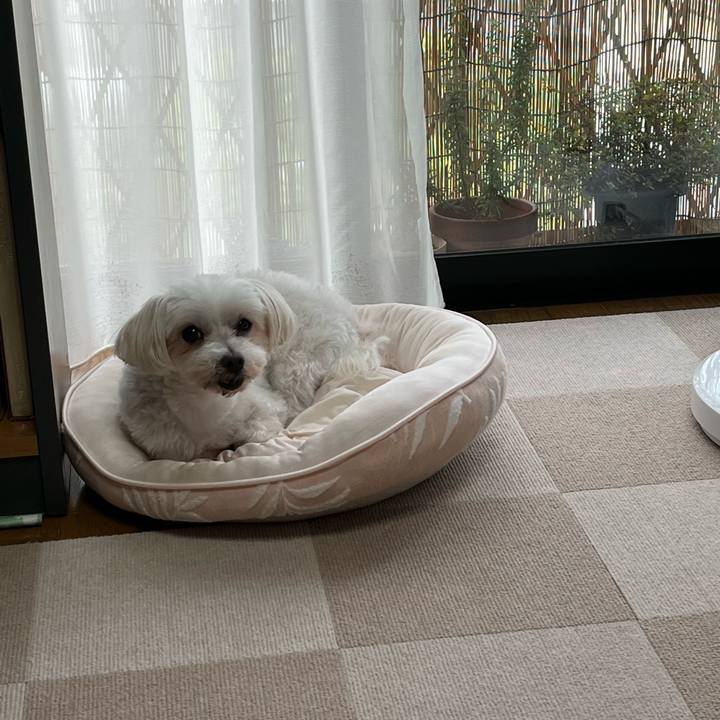 32740006 6069 408d 9c21 769b86e2a687 1660616396596