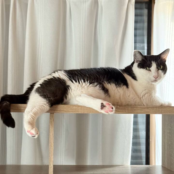 32748800 bcfe 4701 a9e2 c44bbb558c1d 1754788453935