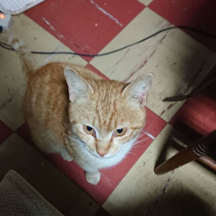 3274b7a1 0807 4481 b8b9 82c4b11a1533 1555014054334