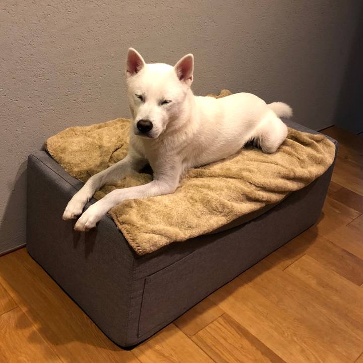 3274bb72 ec86 4d89 8f3d a693eba1146c 1570536267165