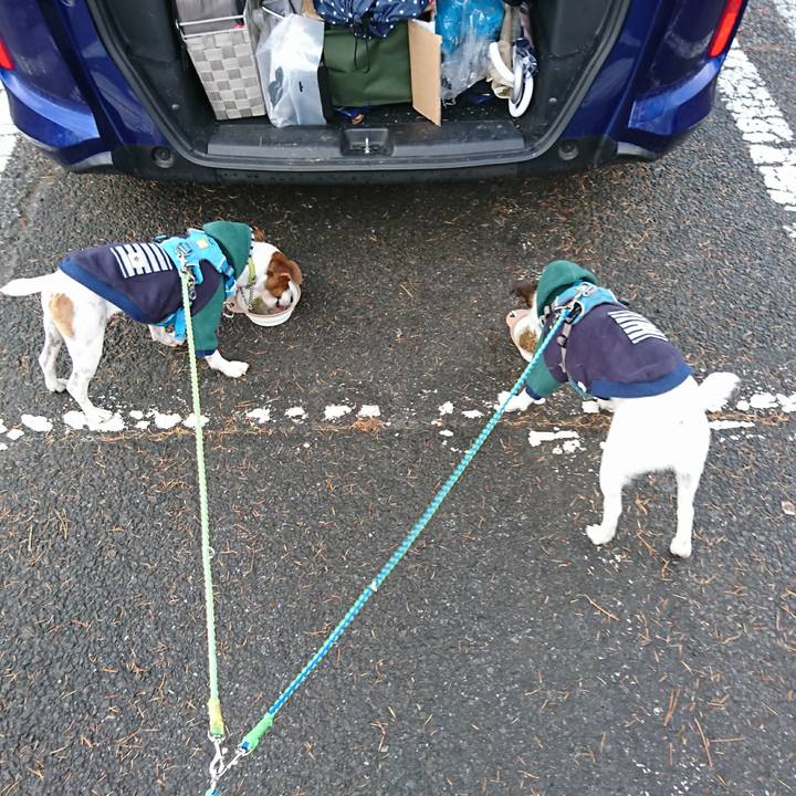 3274bd32 be54 48d9 b22c 4435e9478847 1604786748889