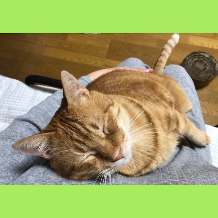 3274c287 d54f 4090 9f0b 12f1a303f101 1591530082890