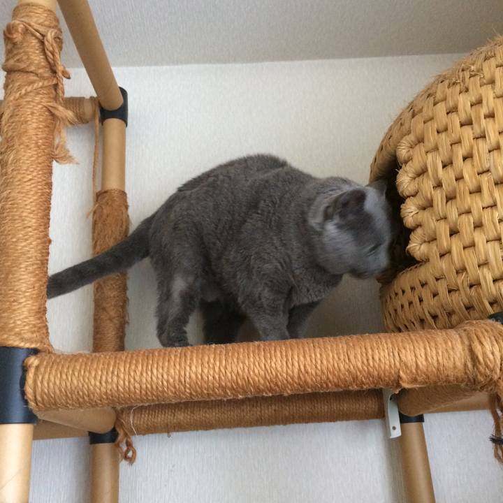 327514bc aad1 431d bdd5 a19f1469b56f 1517638821290