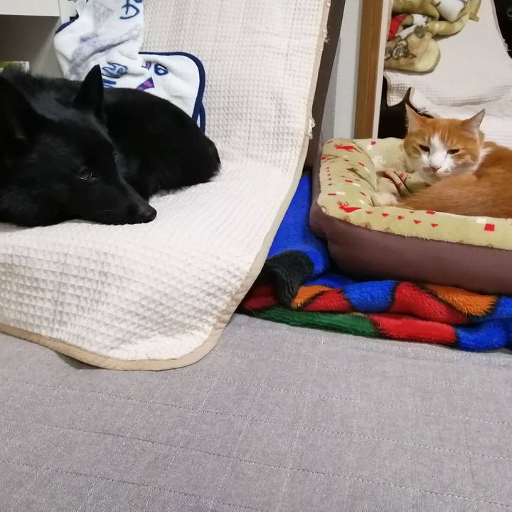 32751828 c386 4c7d b266 68ad0b055c6a 1635681165009