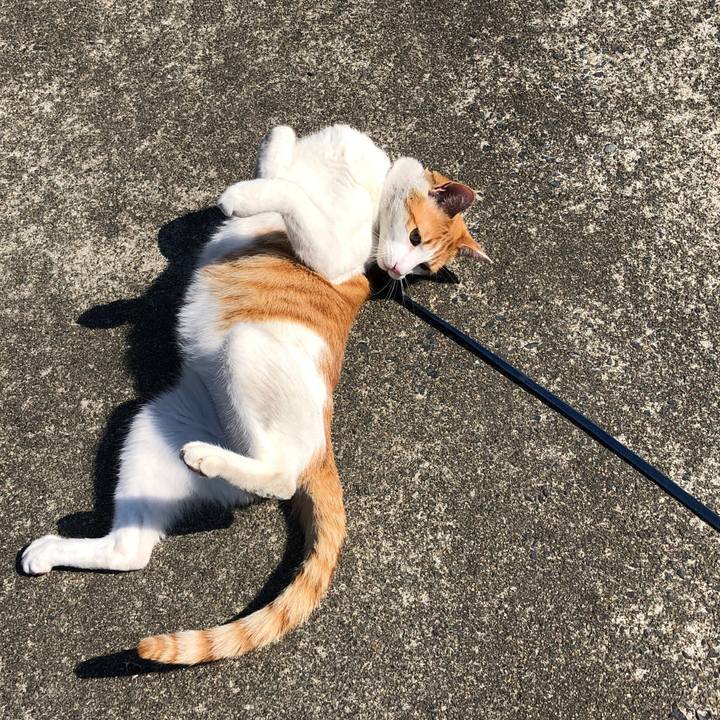 32752f1b 657c 46bc 8af2 137895709a7b 1555208083753