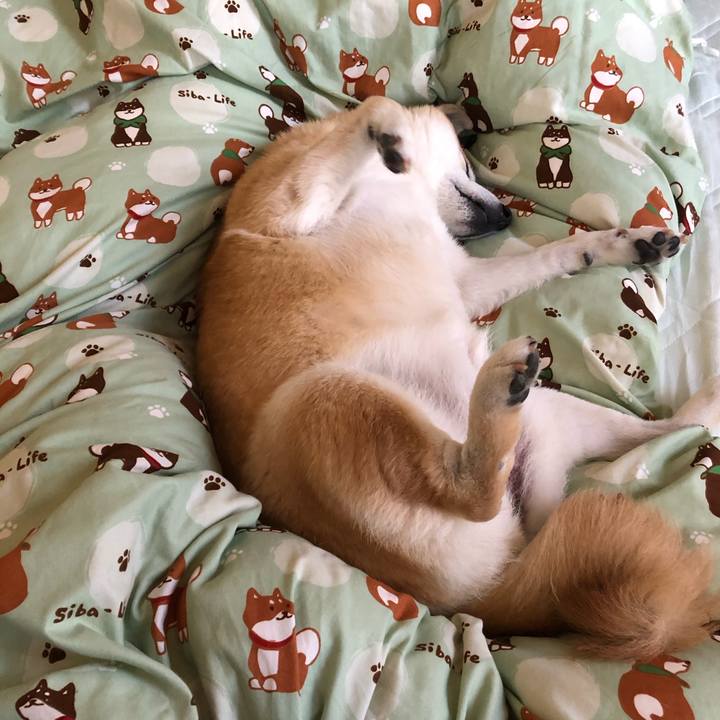 327597ee fbfd 4557 8a55 6a732a4300d3 1590324788781