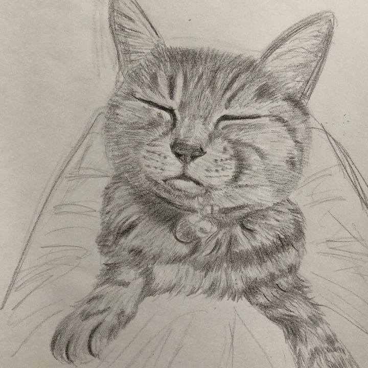 3275b9a6 dc13 48f5 890c 583ece100f23 1630530654445