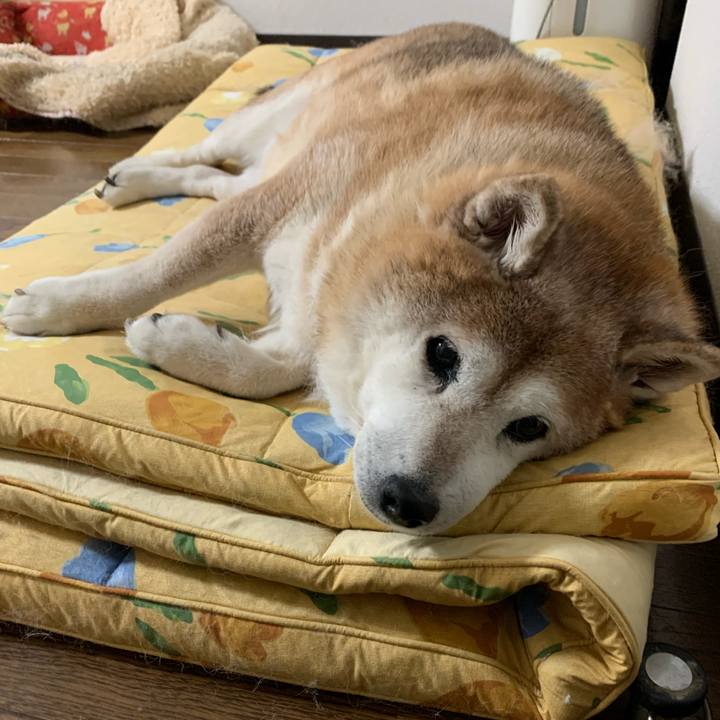 3275d475 40ca 4388 b1af 42aa6899a192 1598368338481