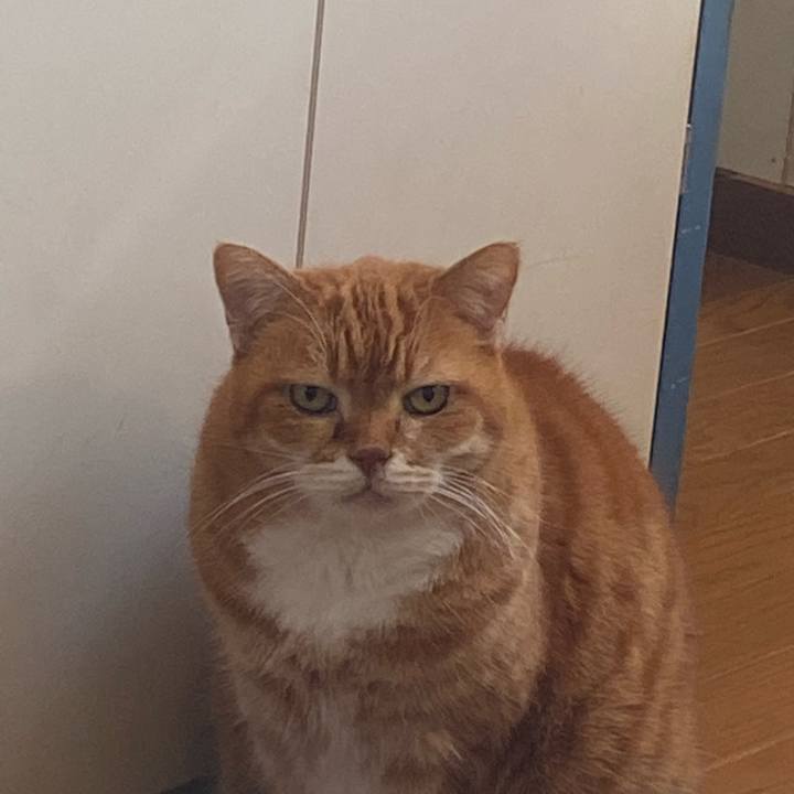 32764192 8240 44e6 beed d4d7e6751594 1707697993857