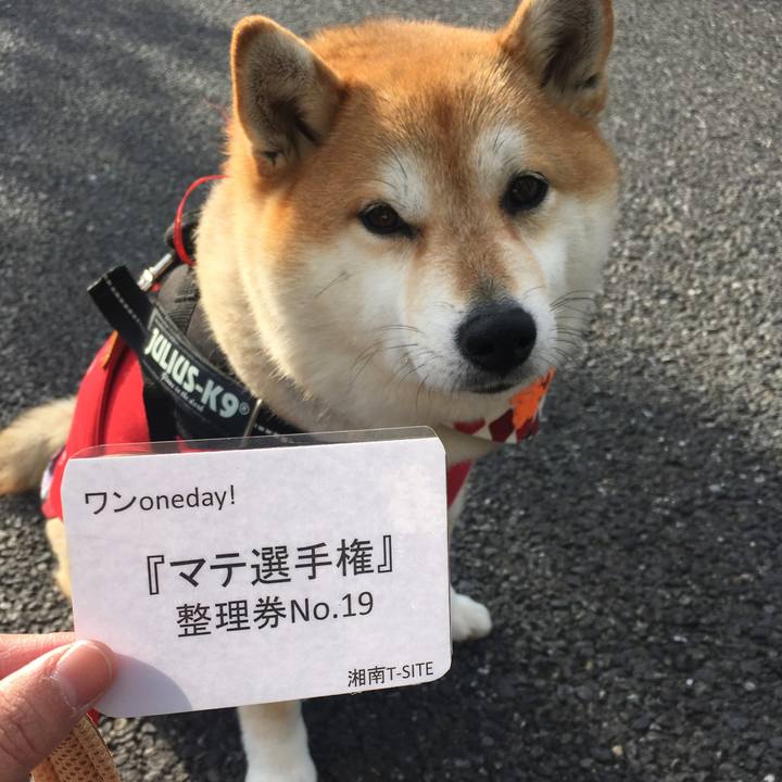 32765fbc 4323 4e02 a1ae 998d2d6d473b 1575198818039