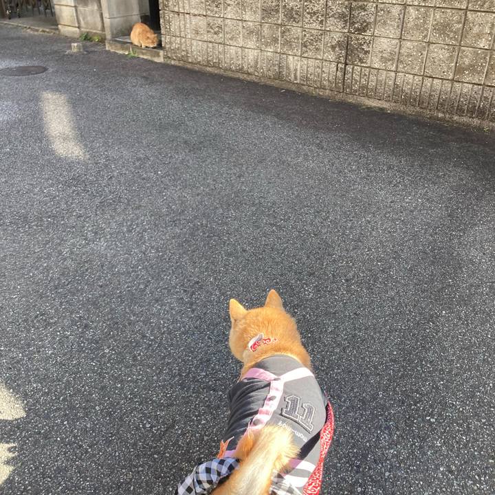 3276728a 222d 4d41 85b3 c2acdda5cf4a 1638101177797