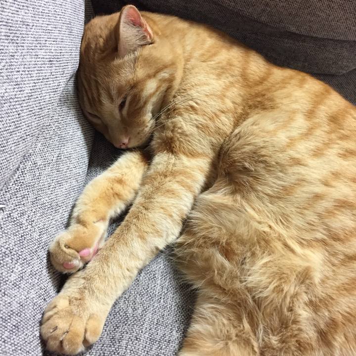 3276768d 99d0 405b 9e15 783d851f48d7 1531681339229