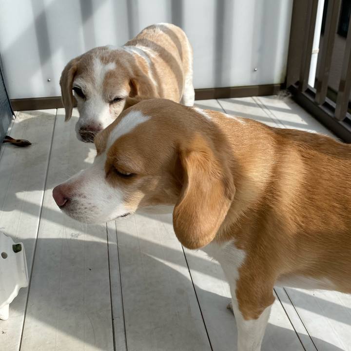 327678d0 8549 4cbf a0a0 33d1b0c8a056 1635837852382