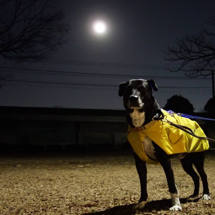 32769790 bbc8 4c1a a3f9 08656985d395 1739356501863