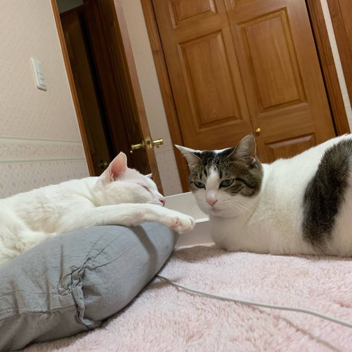 3276a70d 8b72 4aab 9b86 f0baf917f0ac 1639480775349