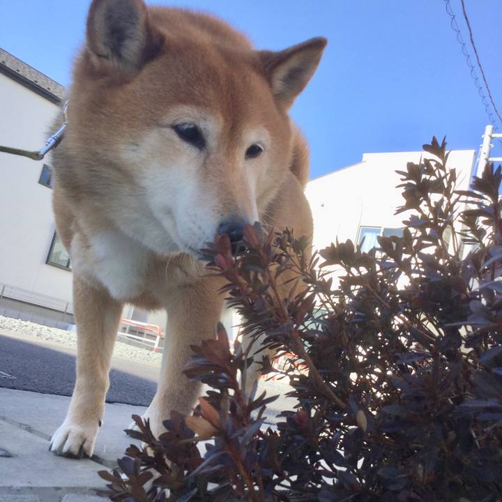 3276b95d fea7 44bb b12e 5cbf18373f72 1612593451487