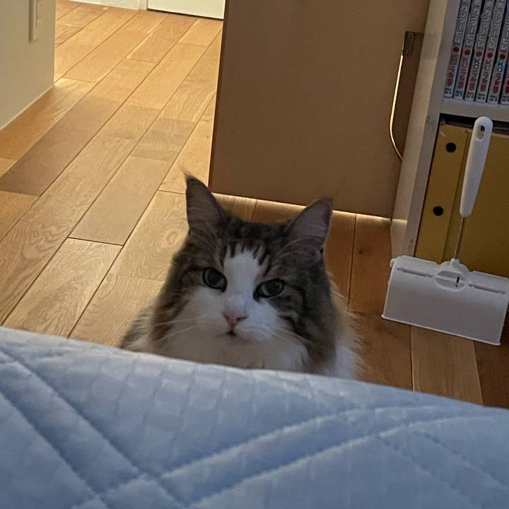 3276c1b7 e9b1 4f67 a4bb 9334f23cf555 1722035913342