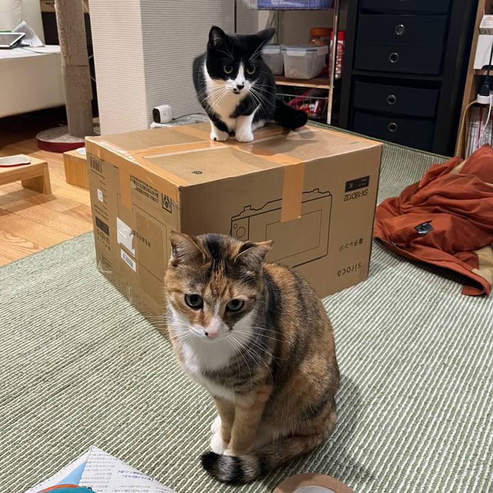 3276e10a 2f12 407a 9c37 64c06779e916 1705894954119