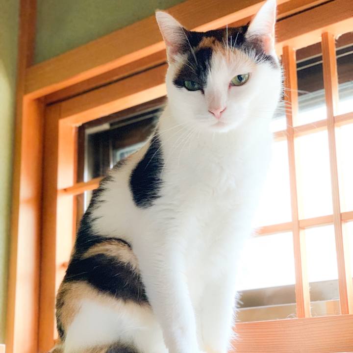 32771f48 baae 498c a85c ac0cc359b21c 1568518789795